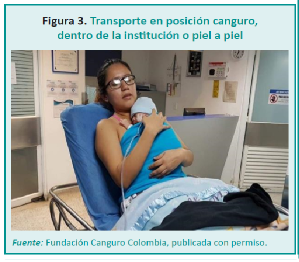 Enf. Neonatal -41